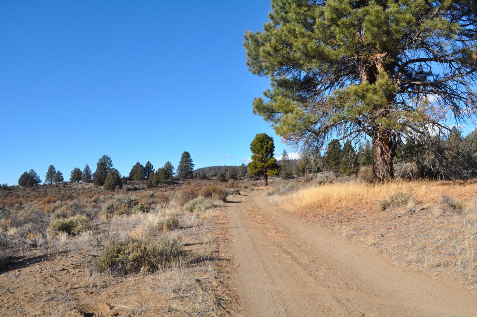 Photo of 0 Tableland 5 of 16