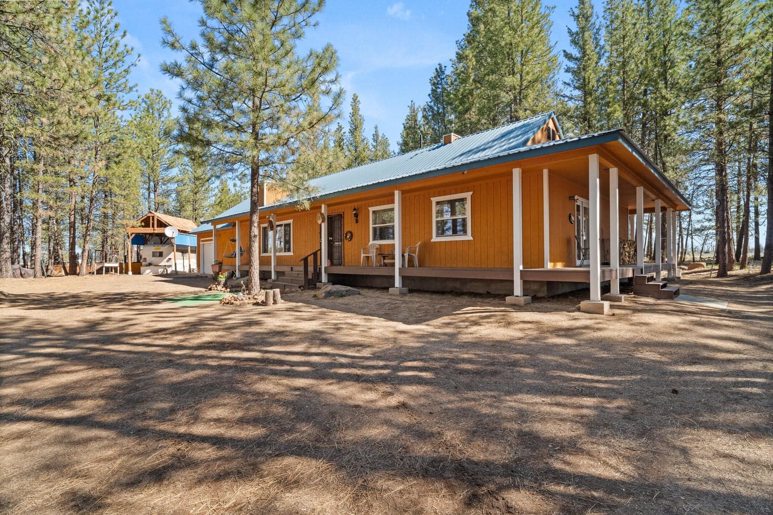 Photo of 27 Blackpine 2 of 34