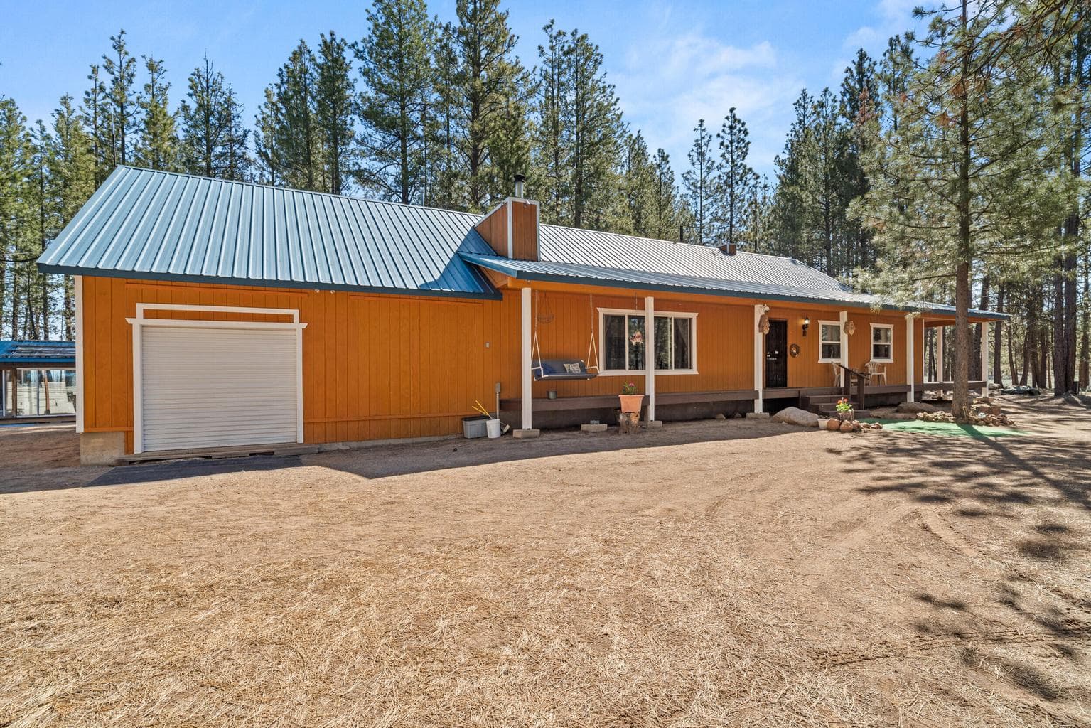 Photo of 27 Blackpine 3 of 34