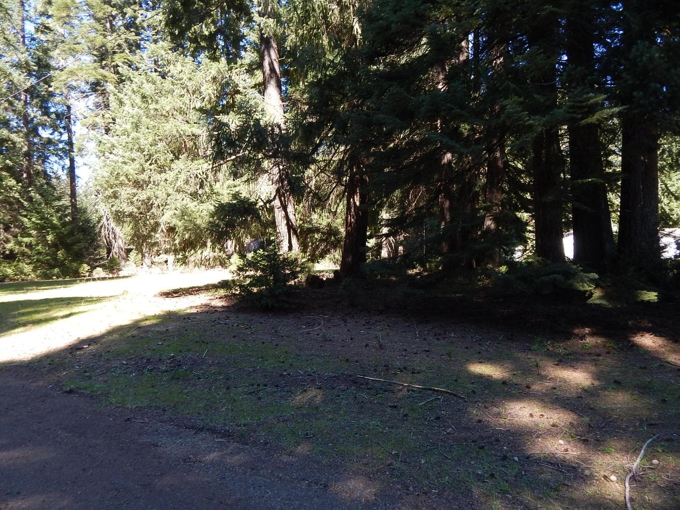 Photo of Red Blanket 3 of 6