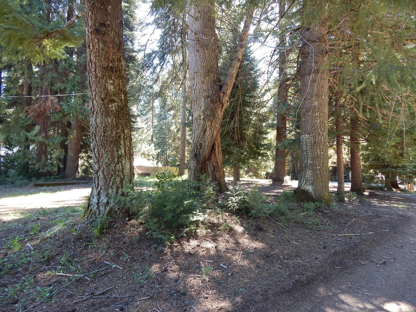 Photo of 356 M 1 of 5