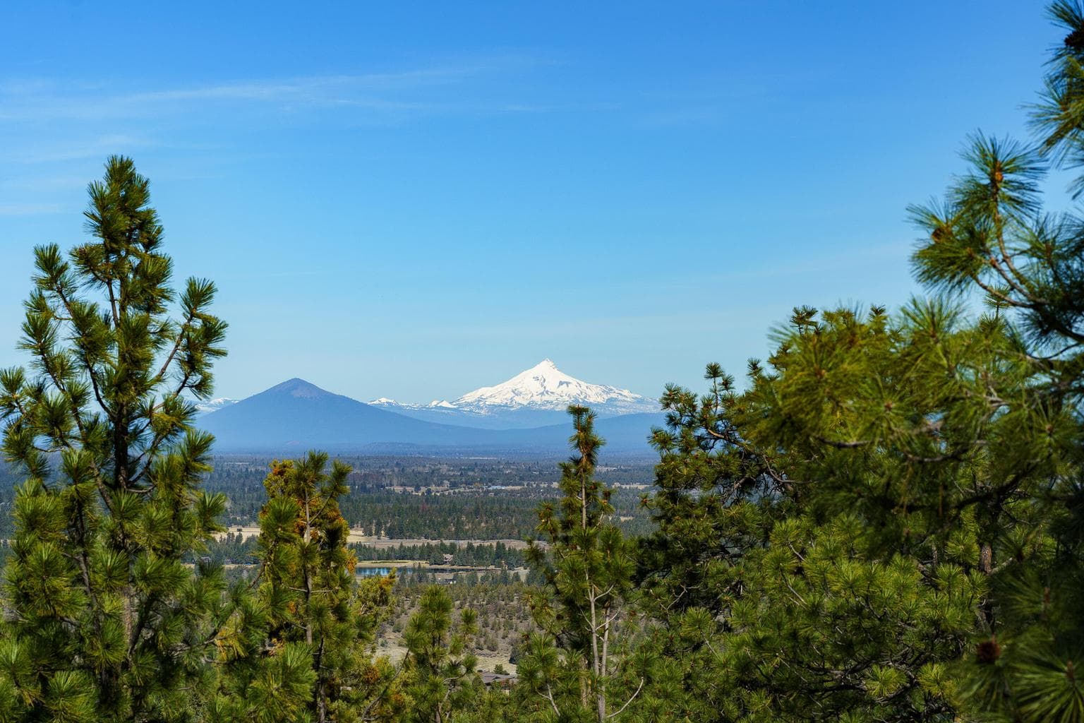 Photo of 1600 Overlook 4 of 53
