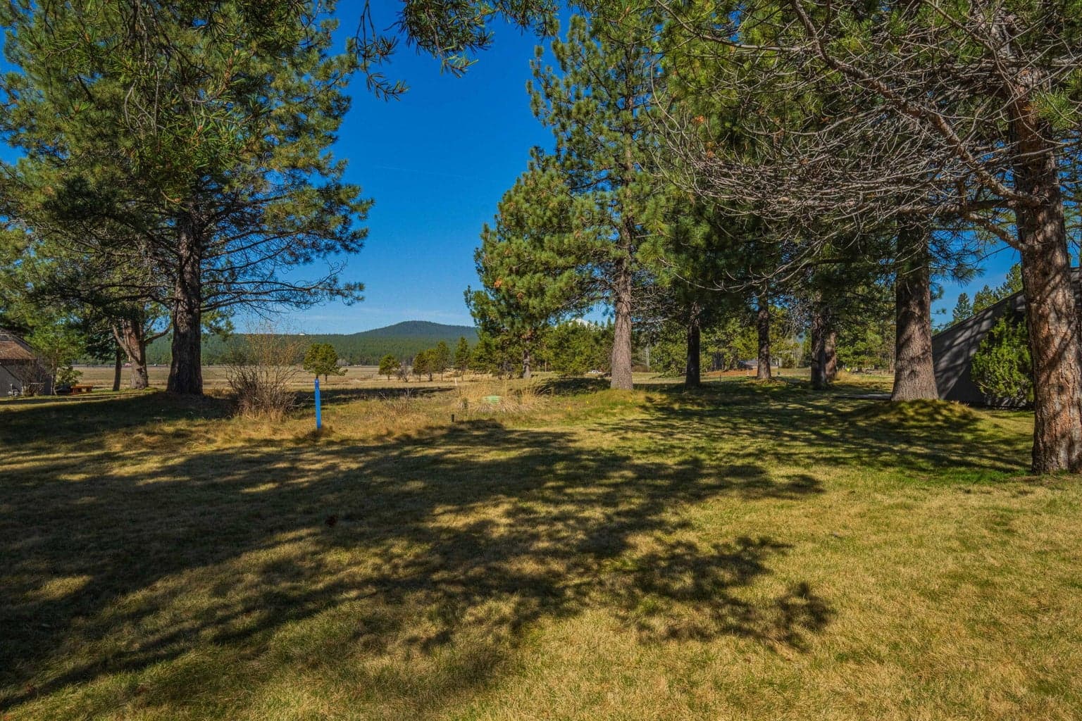 Photo of 57258 Island Road 27 of 30