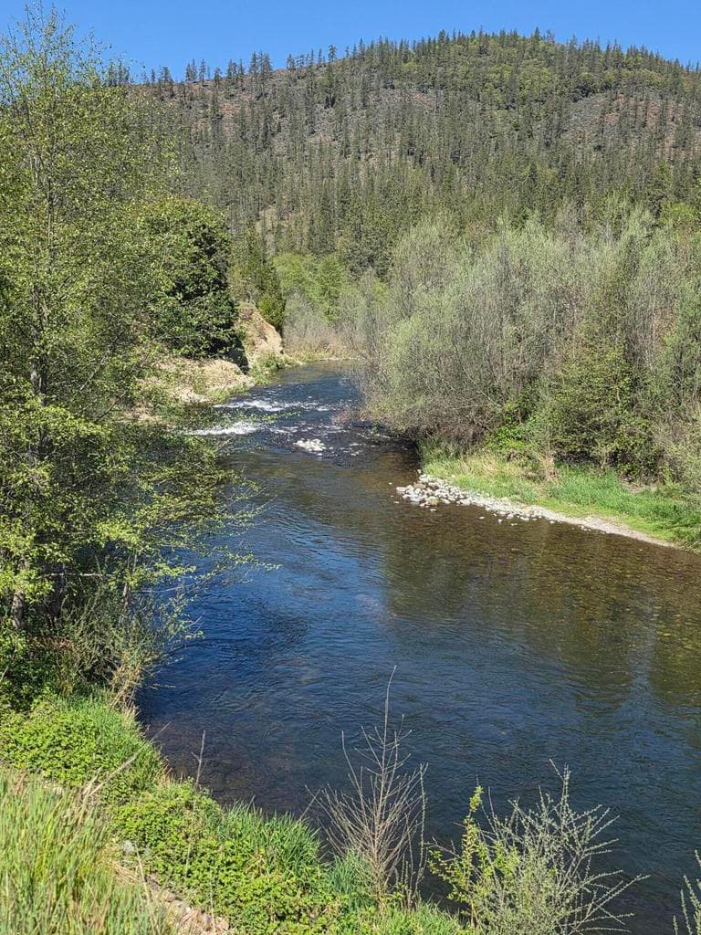 2880 Fish Hatchery
