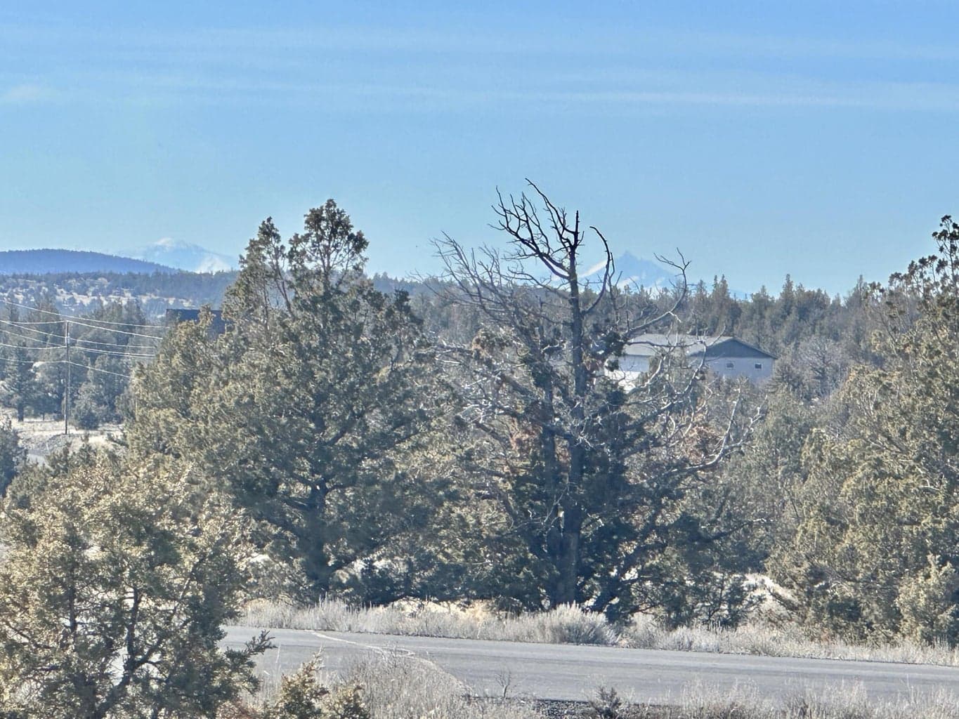 Photo of SE Odessa Road 9 of 9