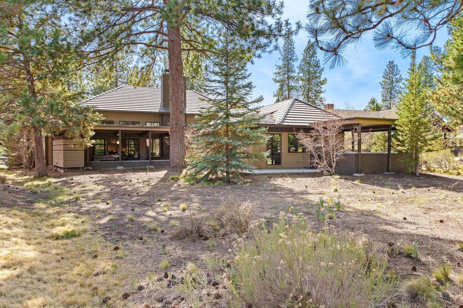 Set among mature pines, the backyard offers a peaceful, natural setting with multiple connected outdoor living areas that seamlessly integrate with the home.
