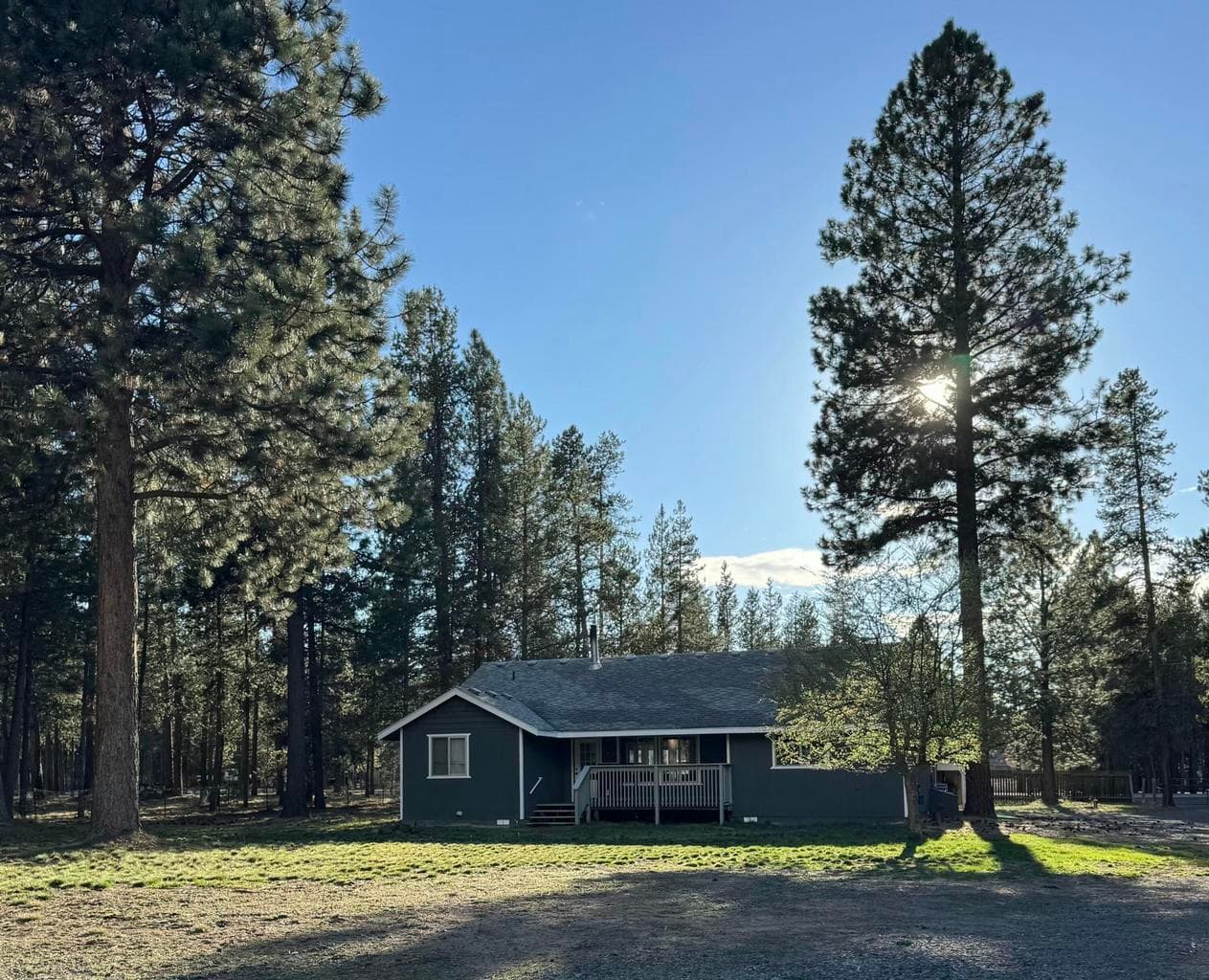 surrounded by tall pines..back of home view.