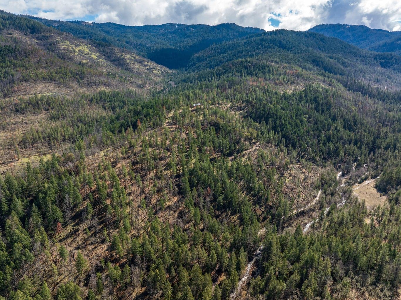 Photo of 2829 Buckhorn Springs 4 of 44
