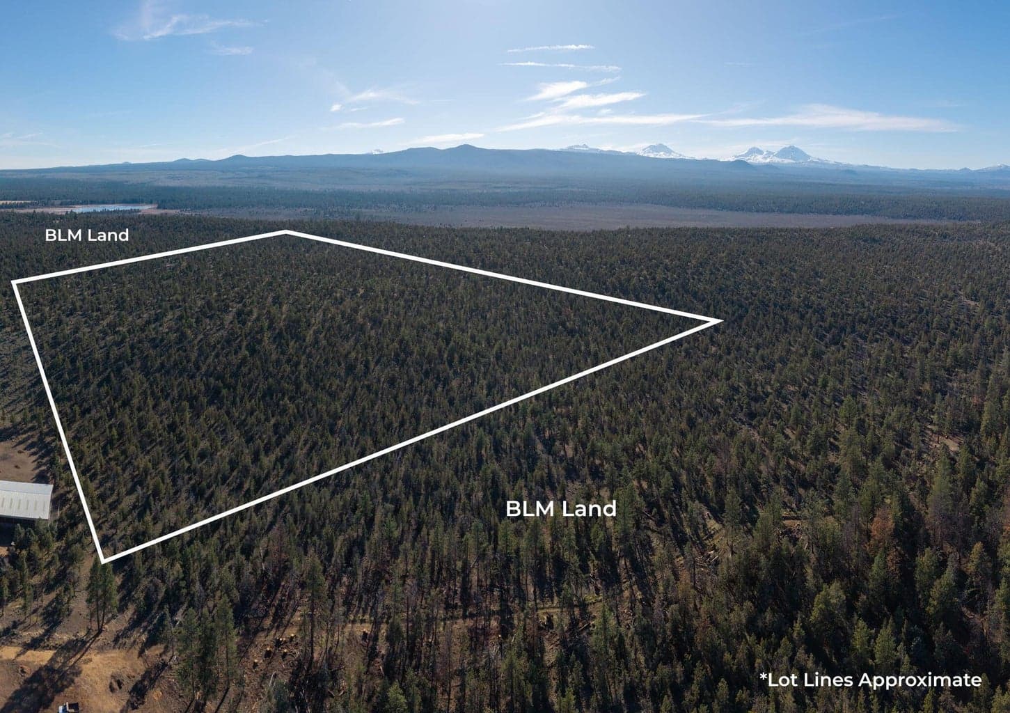 Aerial Lot Lines (approximate)