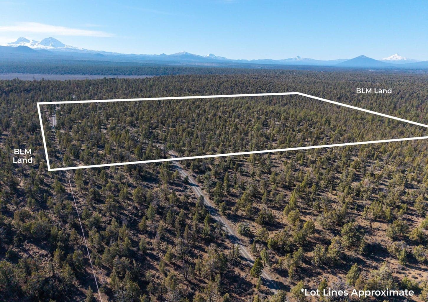 Aerial Lot Lines (approximate)