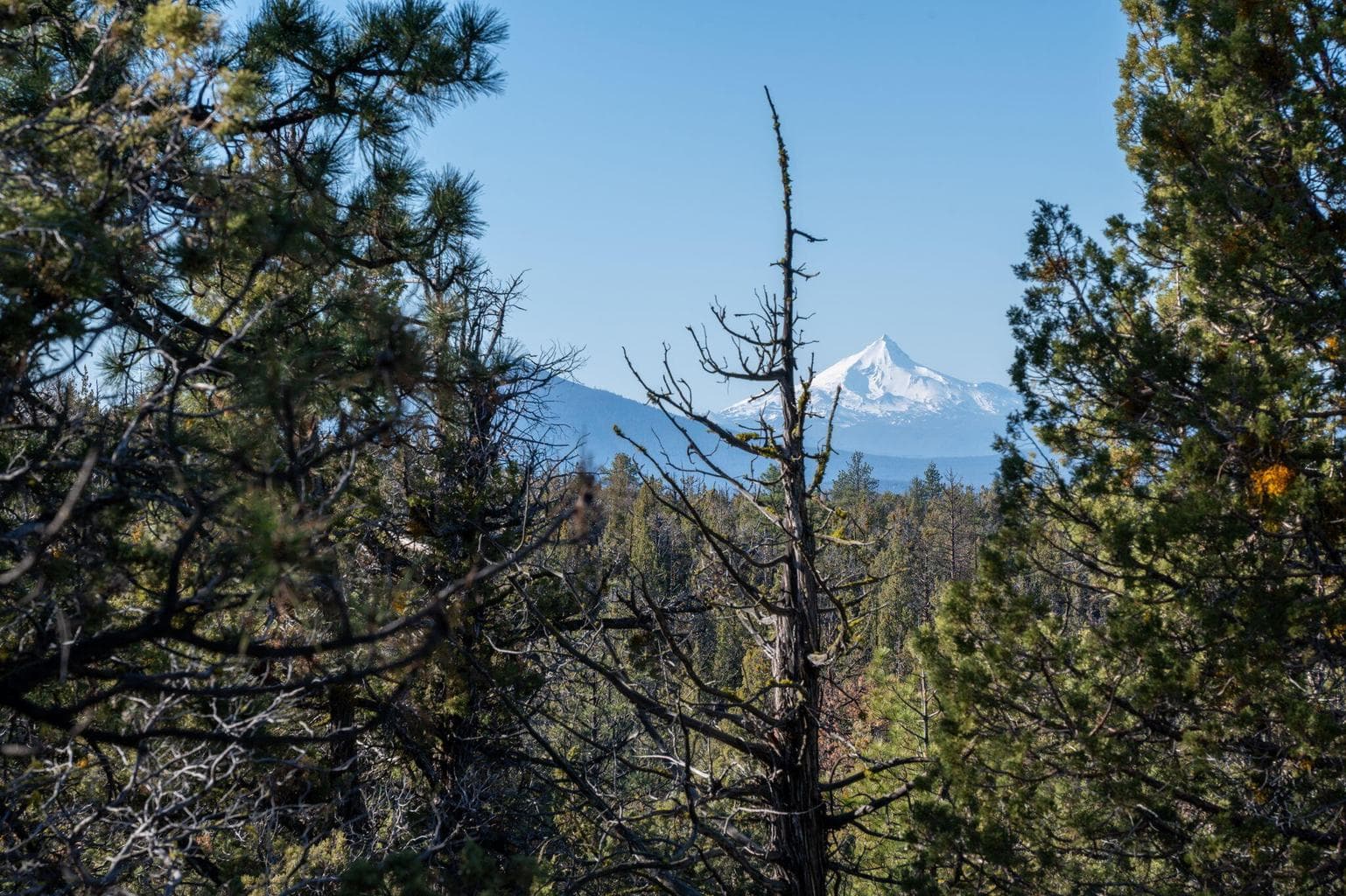 Mt Jefferson Views