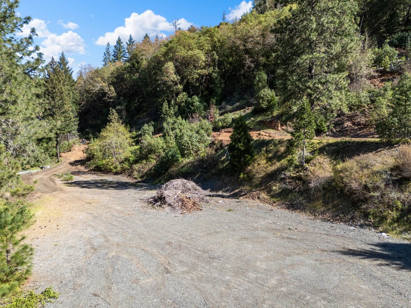 Photo of 101 Coyote Creek 4 of 17