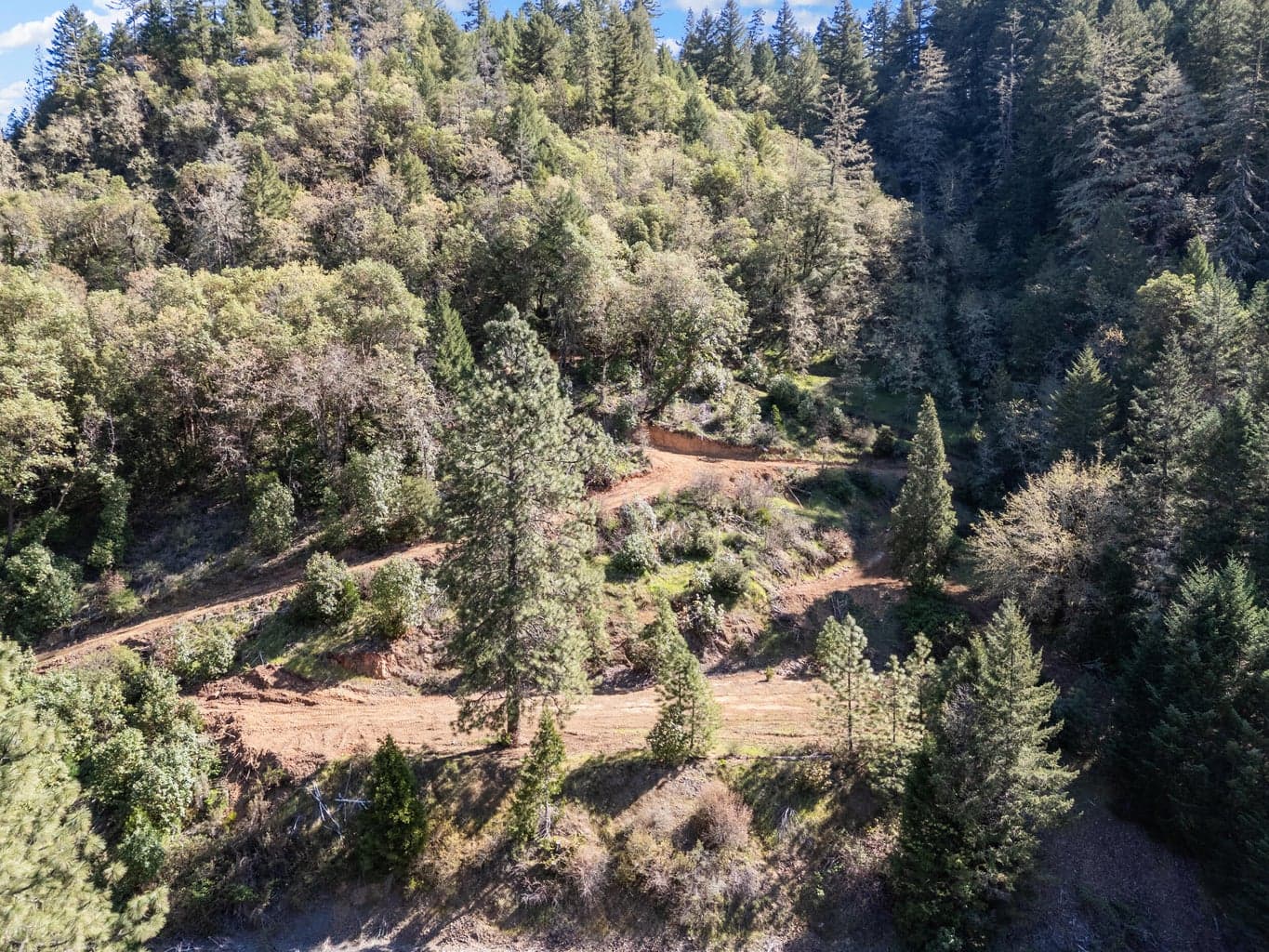 Photo of 101 Coyote Creek 5 of 17