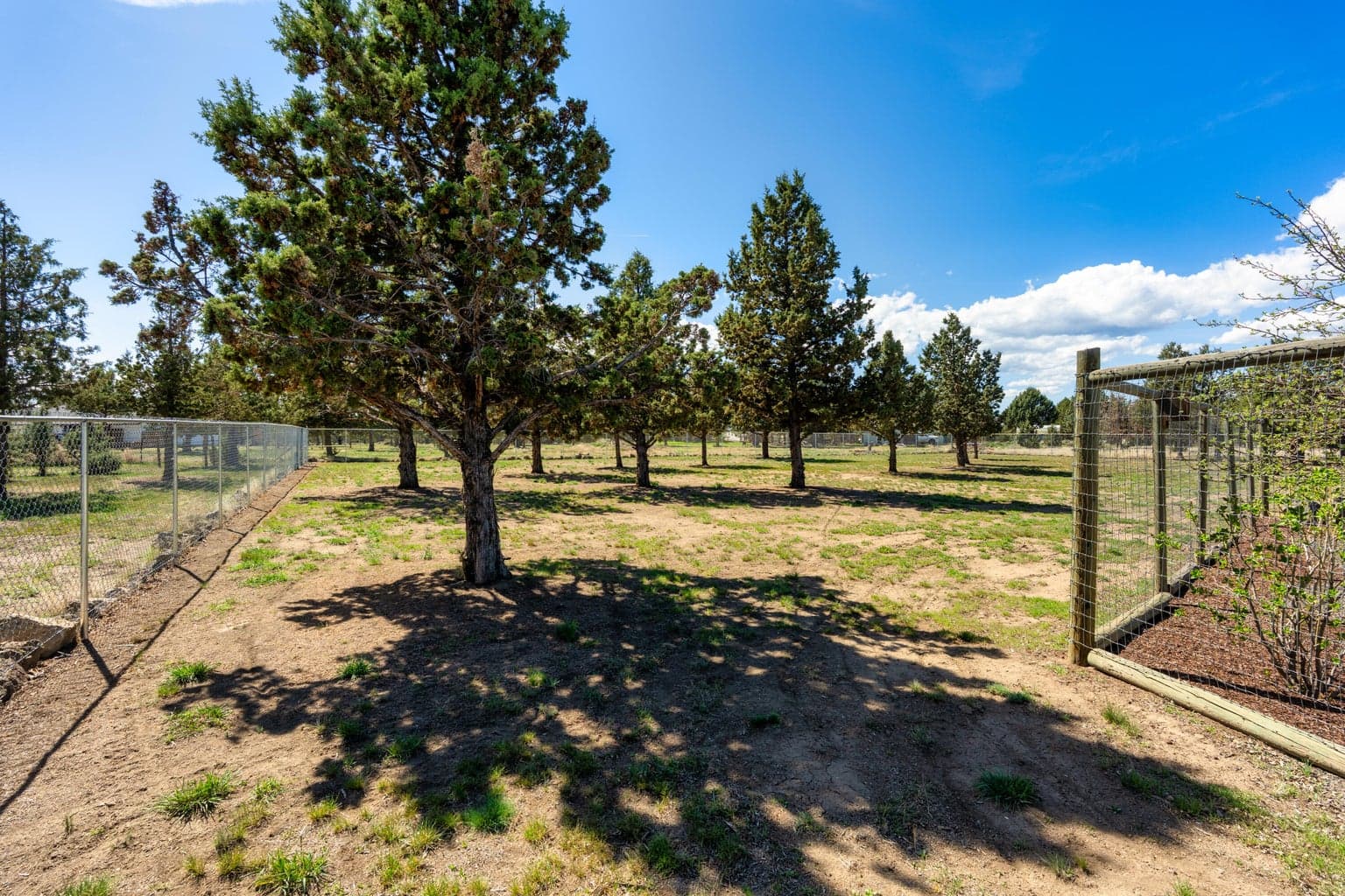 Photo of 14204 Peninsula Drive 3 of 69