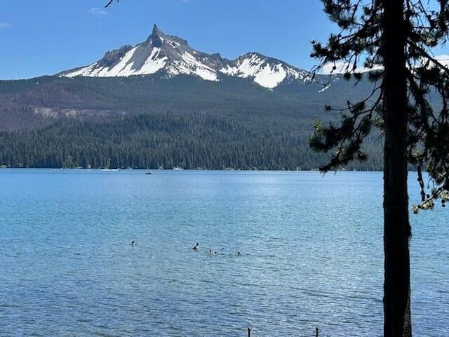Photo of 80 Diamond Lake 3 of 36