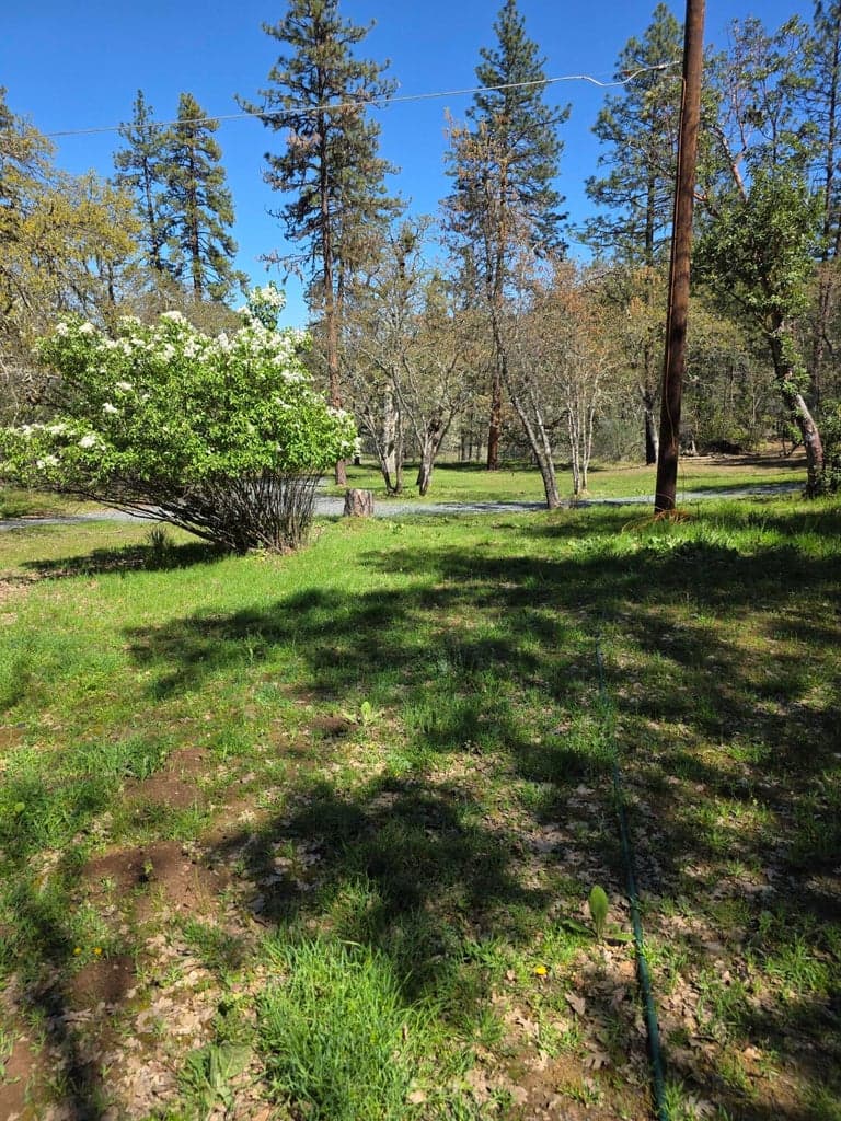 Photo of 7940 Upper Applegate 2 of 3