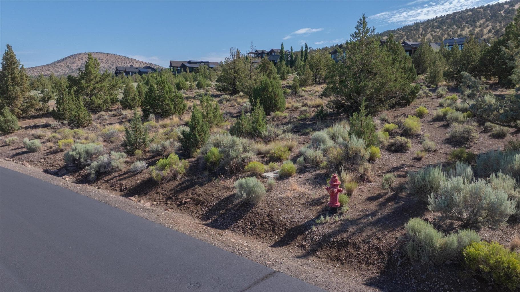 Photo of Hope Vista 6 of 14