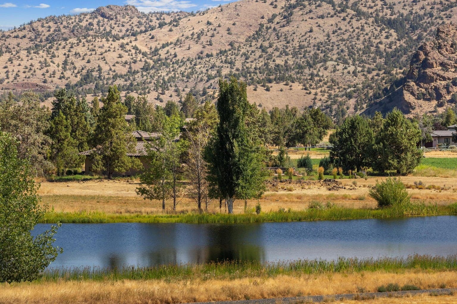 Photo of 711 Good Pasture 4 of 12