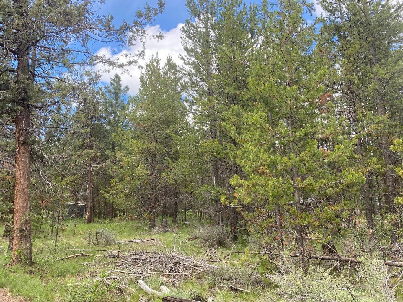 Photo of 55508 Circle 2 of 5
