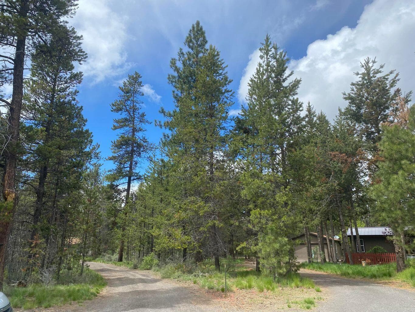 Photo of 55508 Circle 4 of 5