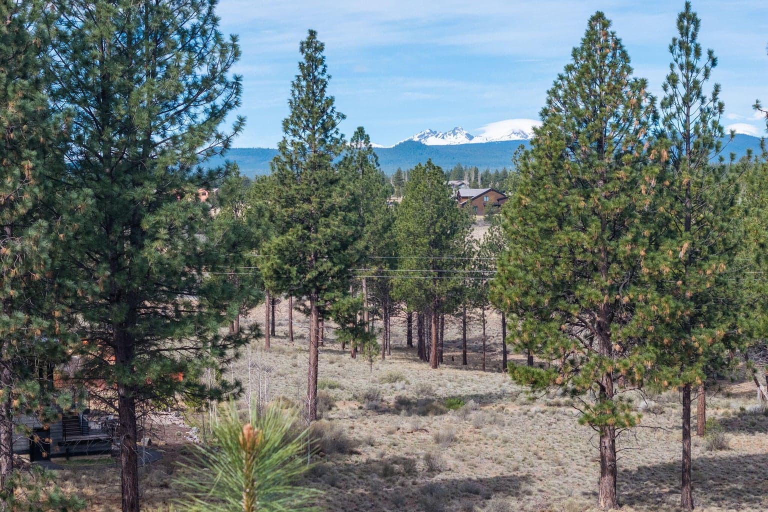 Photo of 61853 Hosmer Lake 4 of 40