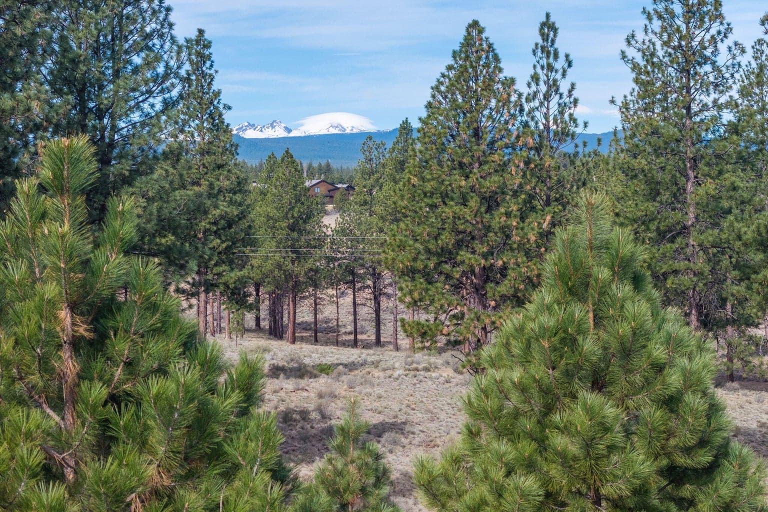Photo of 61853 Hosmer Lake 3 of 40