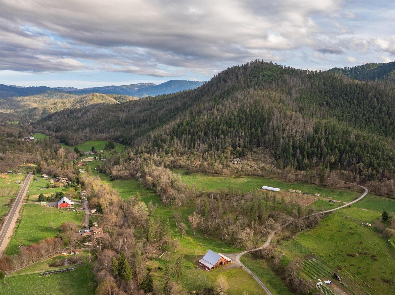 Photo of 3998 Little Applegate 6 of 77