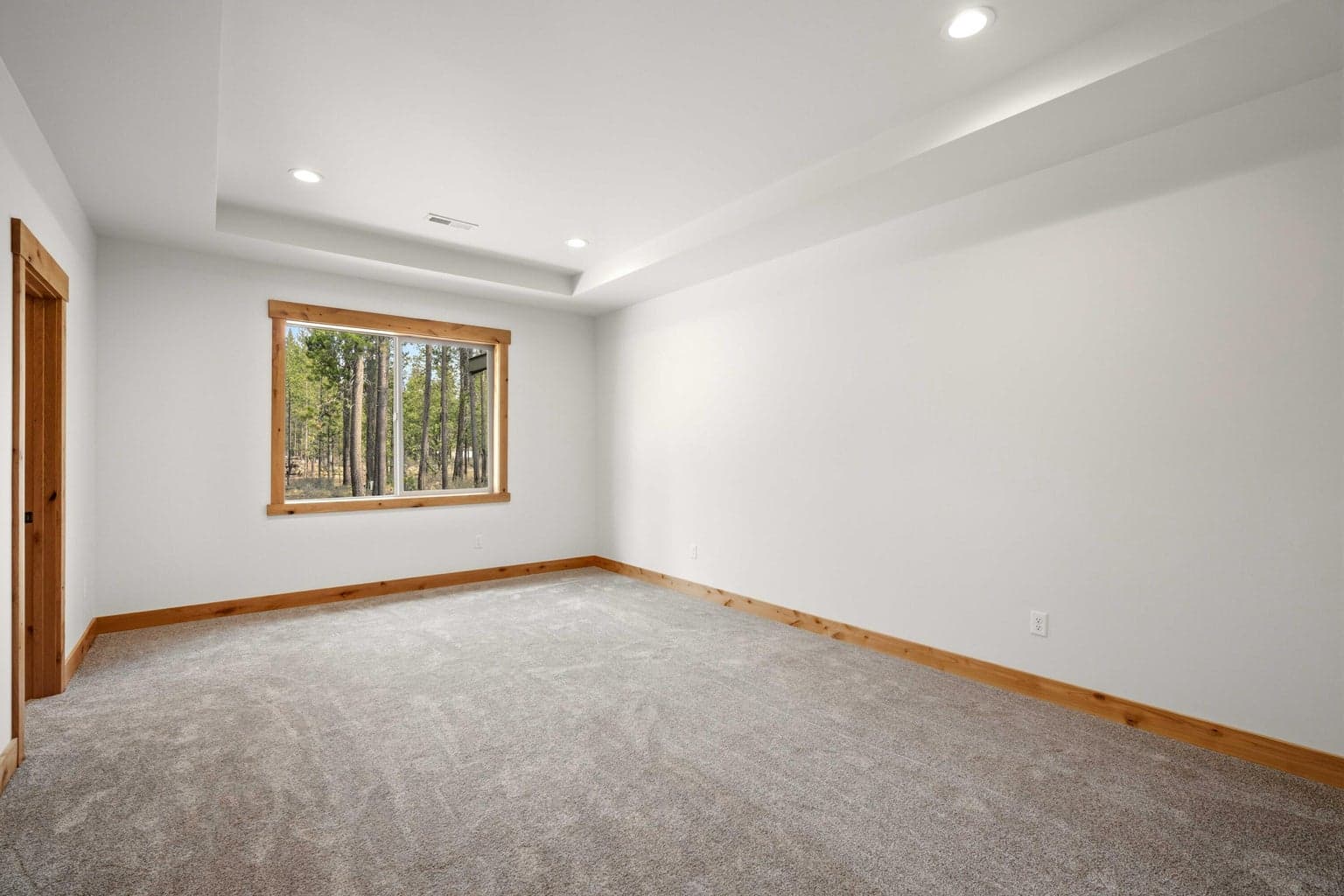 Spacious primary suite with tray ceiling, soft carpet, and large window bringing in natural light and peaceful treed views.