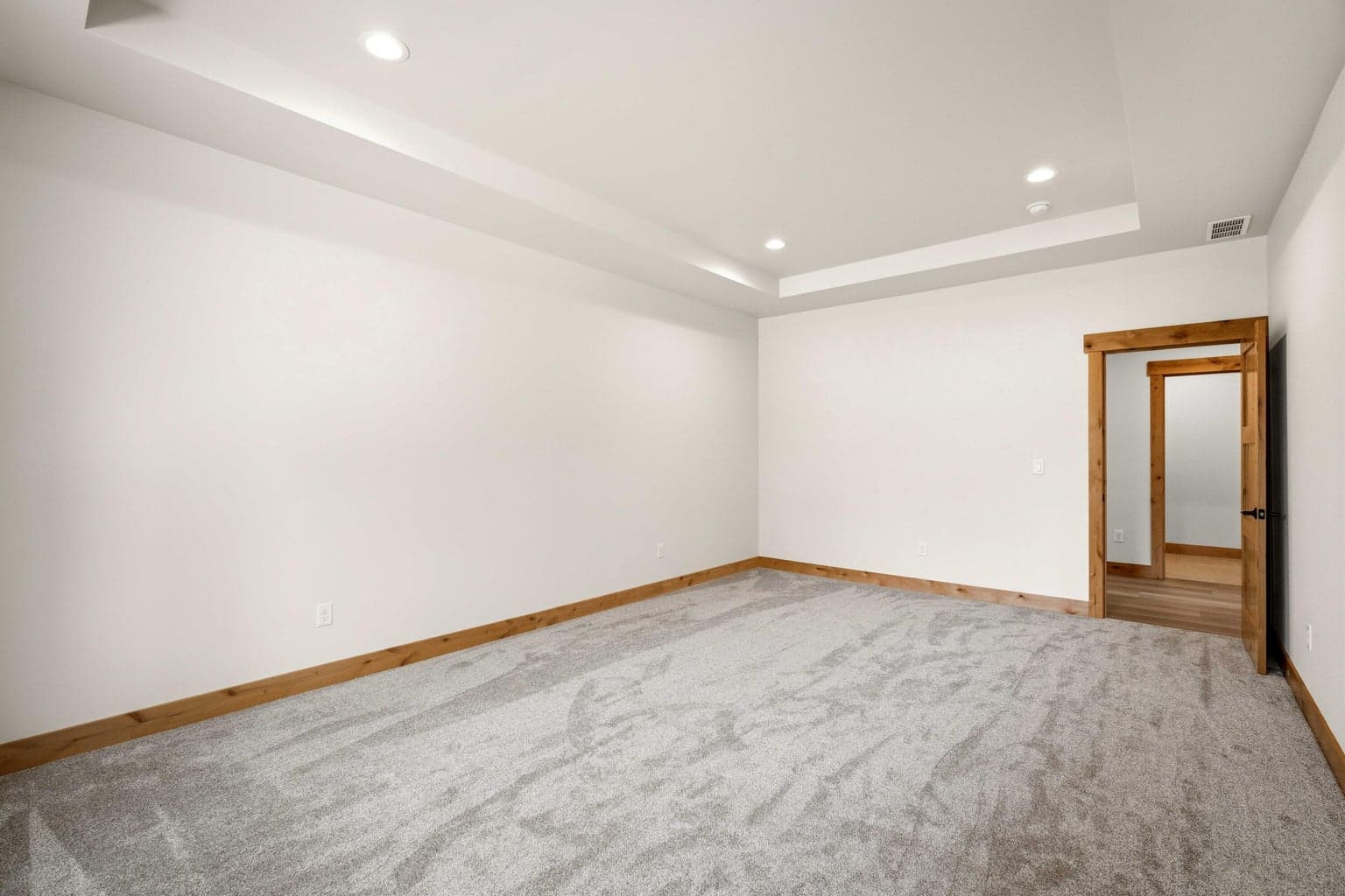 Expansive primary suite features a tray ceiling, comfortable scale, and a quiet setting designed for rest and privacy.