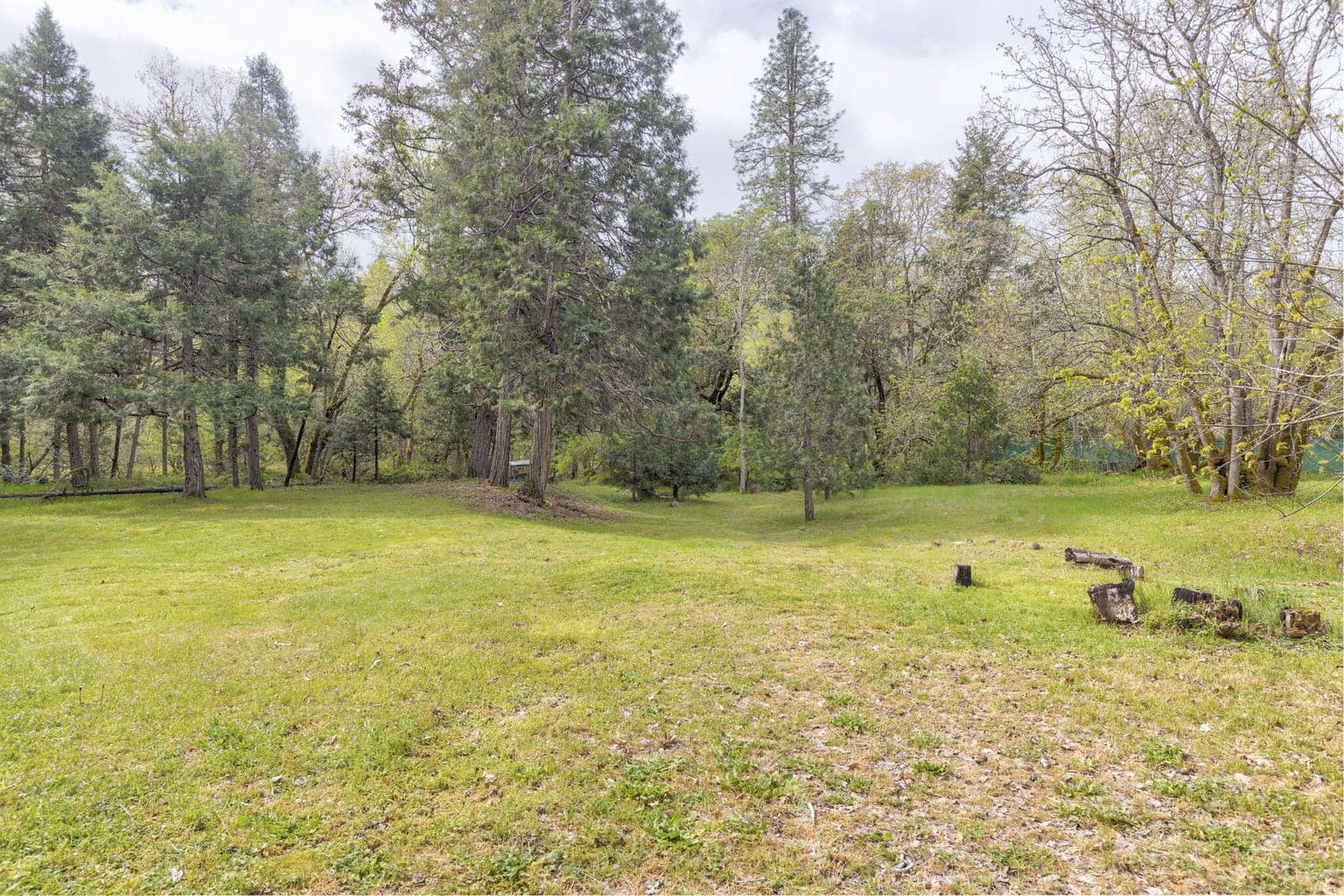 Photo of 1625 Cedar Flat 5 of 71