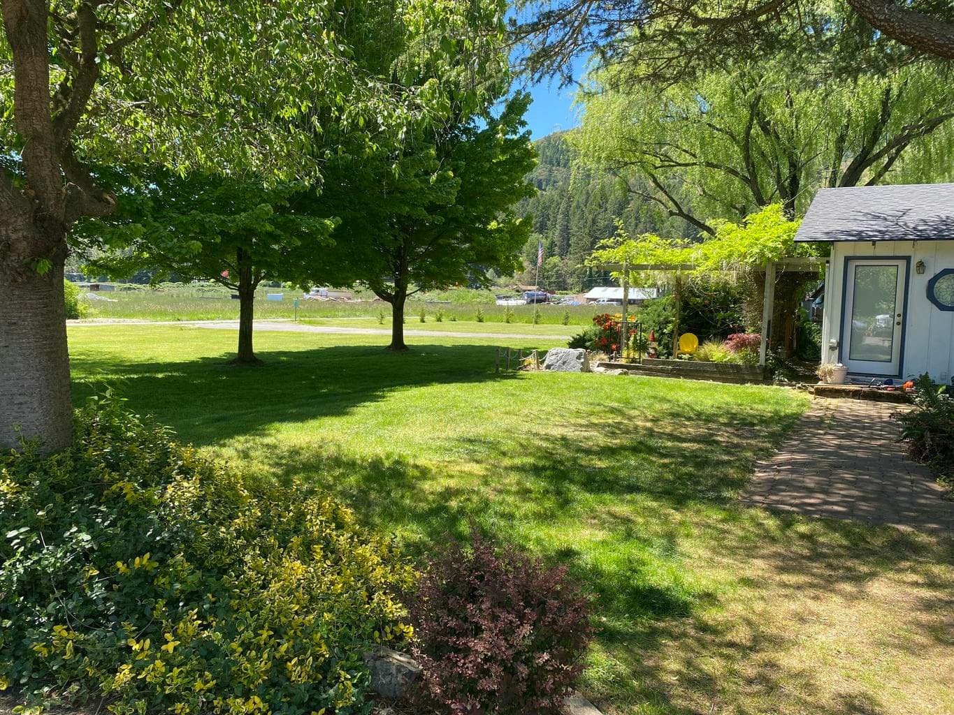 lush landscaping