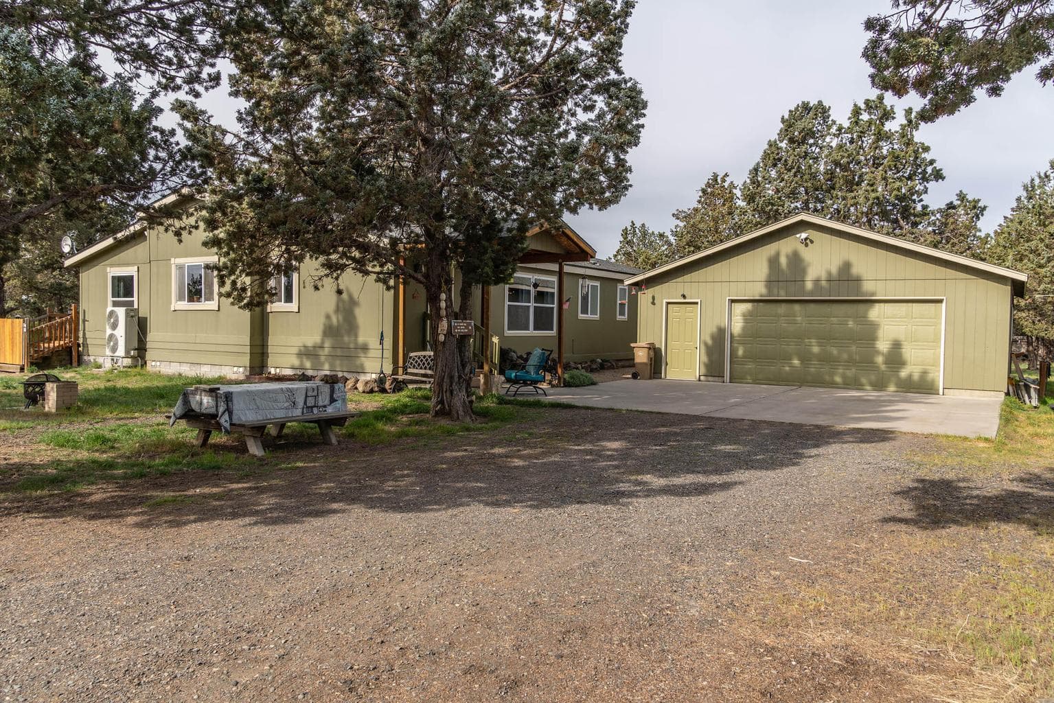 Photo of 6776 Buckskin 5 of 32