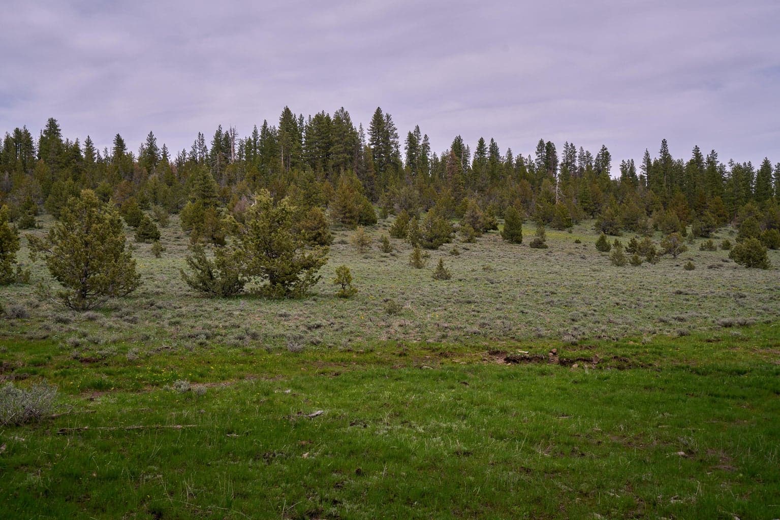 Photo of 0 FS 3752 TL101 4 of 28