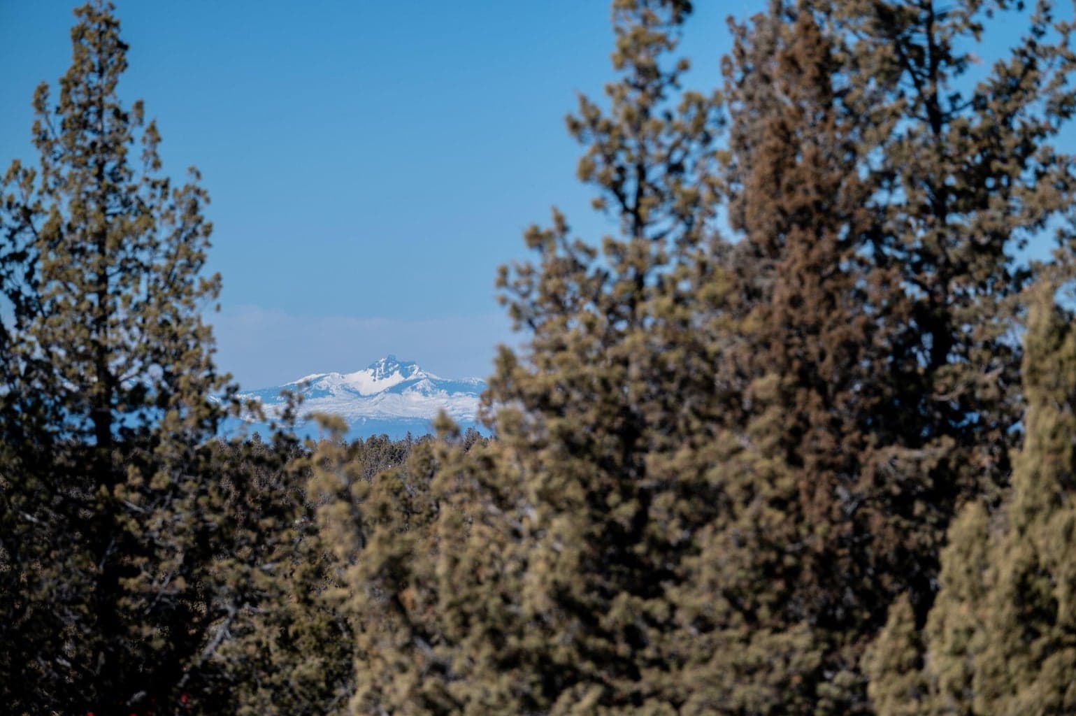 Photo of Goble 3 of 17