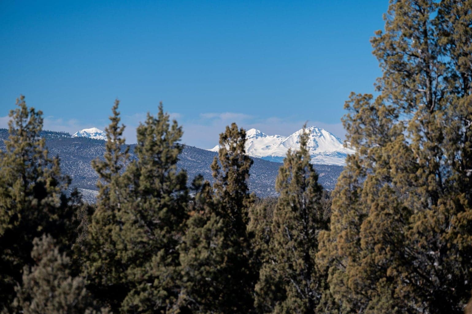 Photo of Goble 4 of 17