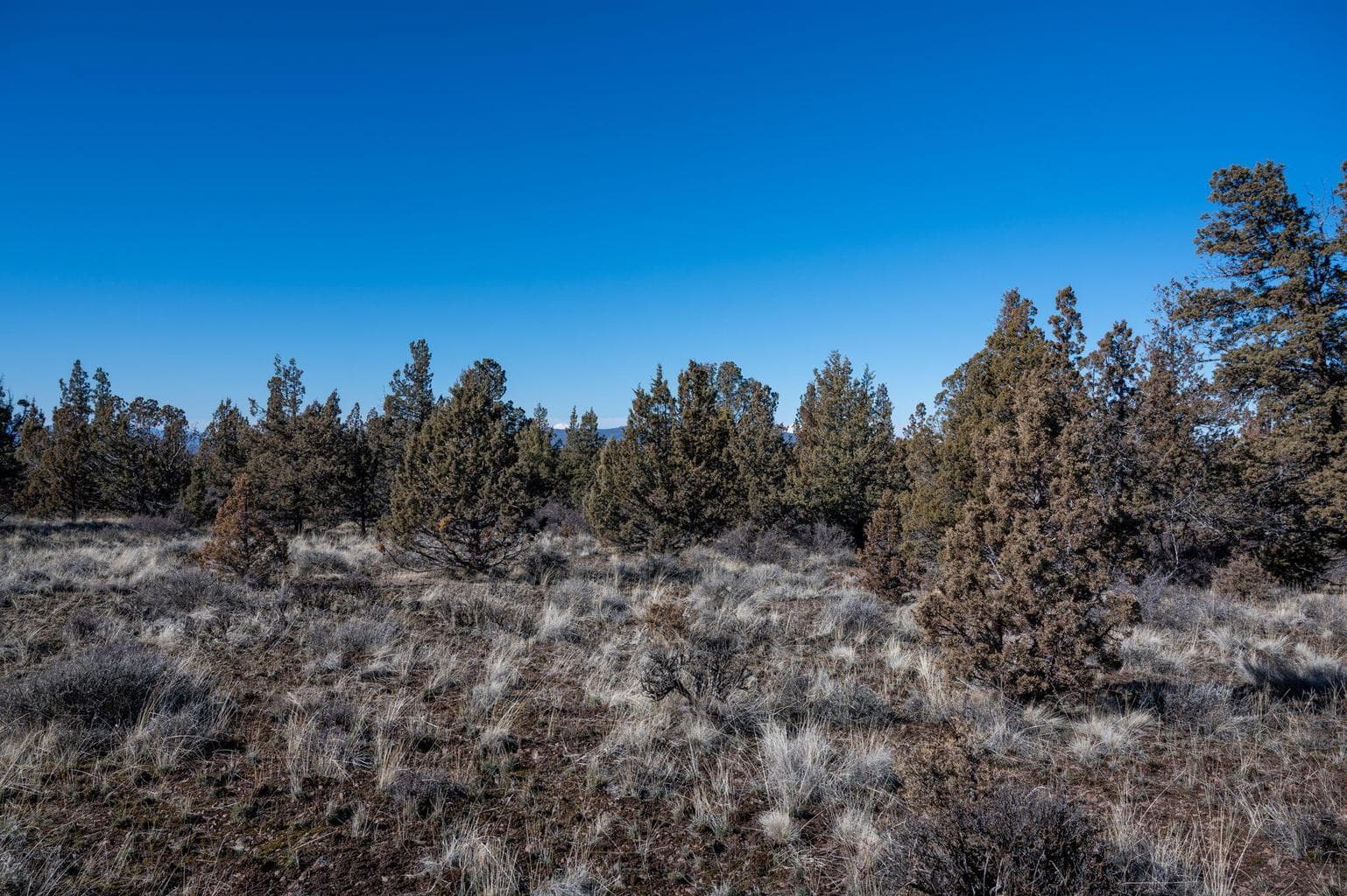 Photo of Goble 5 of 17