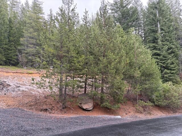 Photo of 6 Royce Pine Road 4 of 11