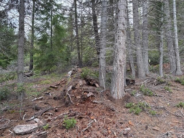 Photo of 6 Royce Pine Road 5 of 11