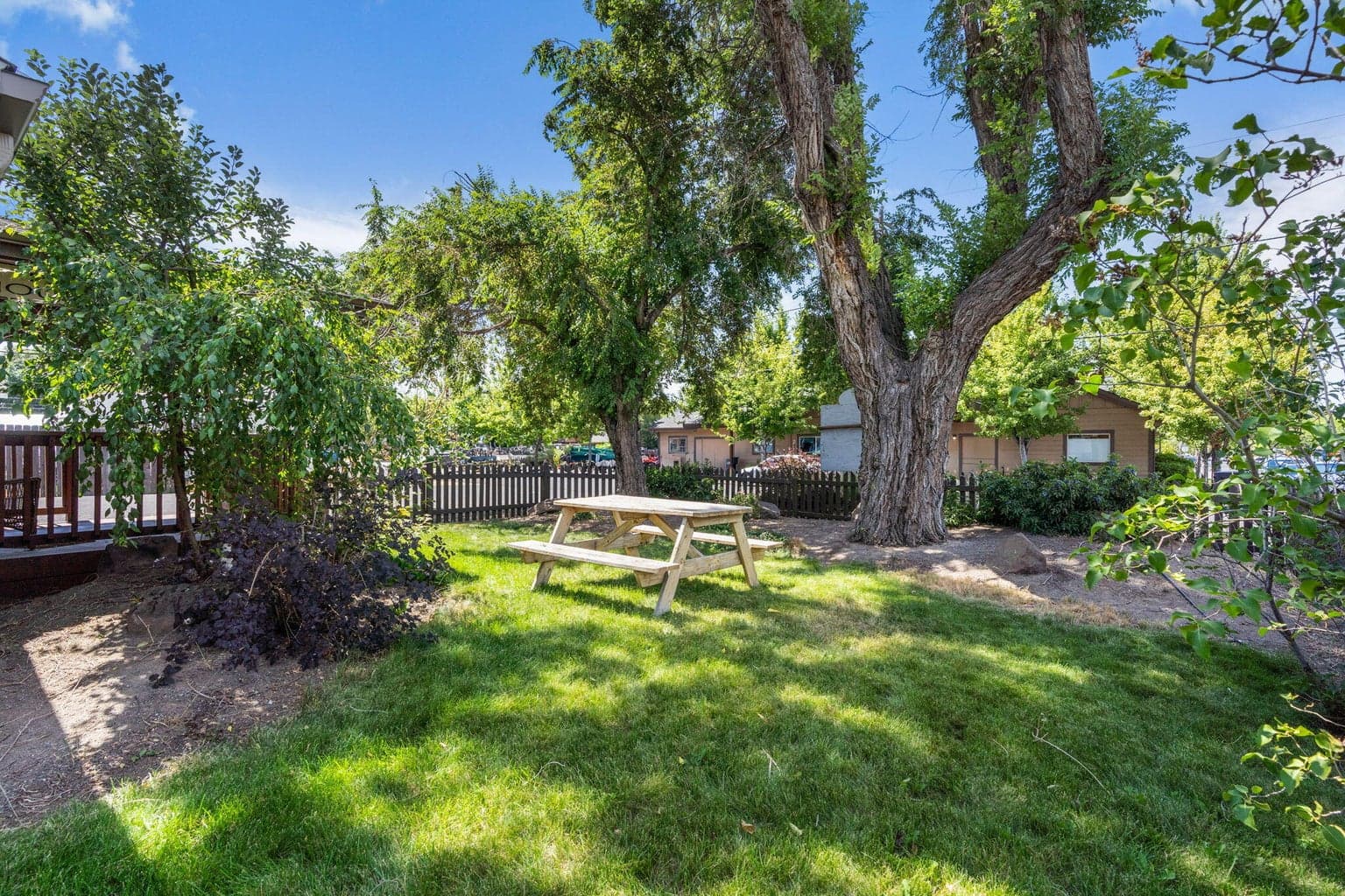 Lovely shade trees for summer enjoyment!