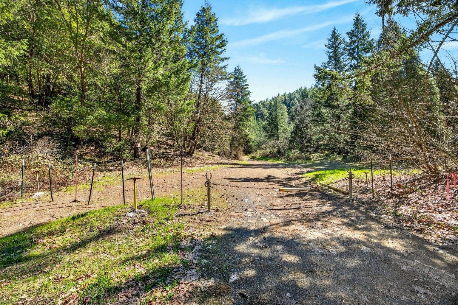 Photo of Redwood 1 of 17