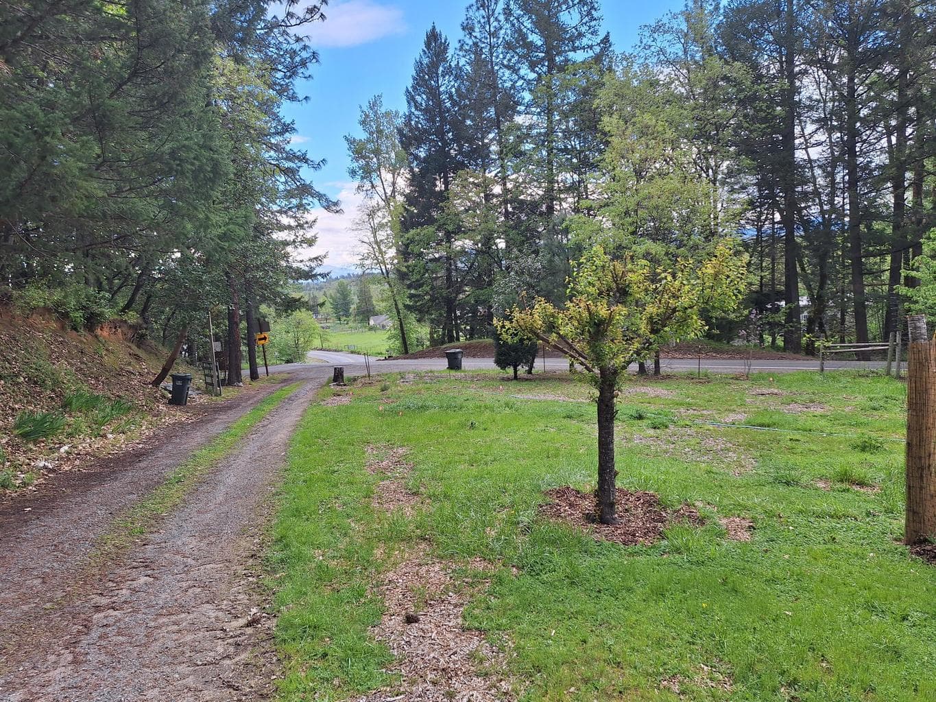 Photo of 1771 Sleepy Hollow 1 of 12
