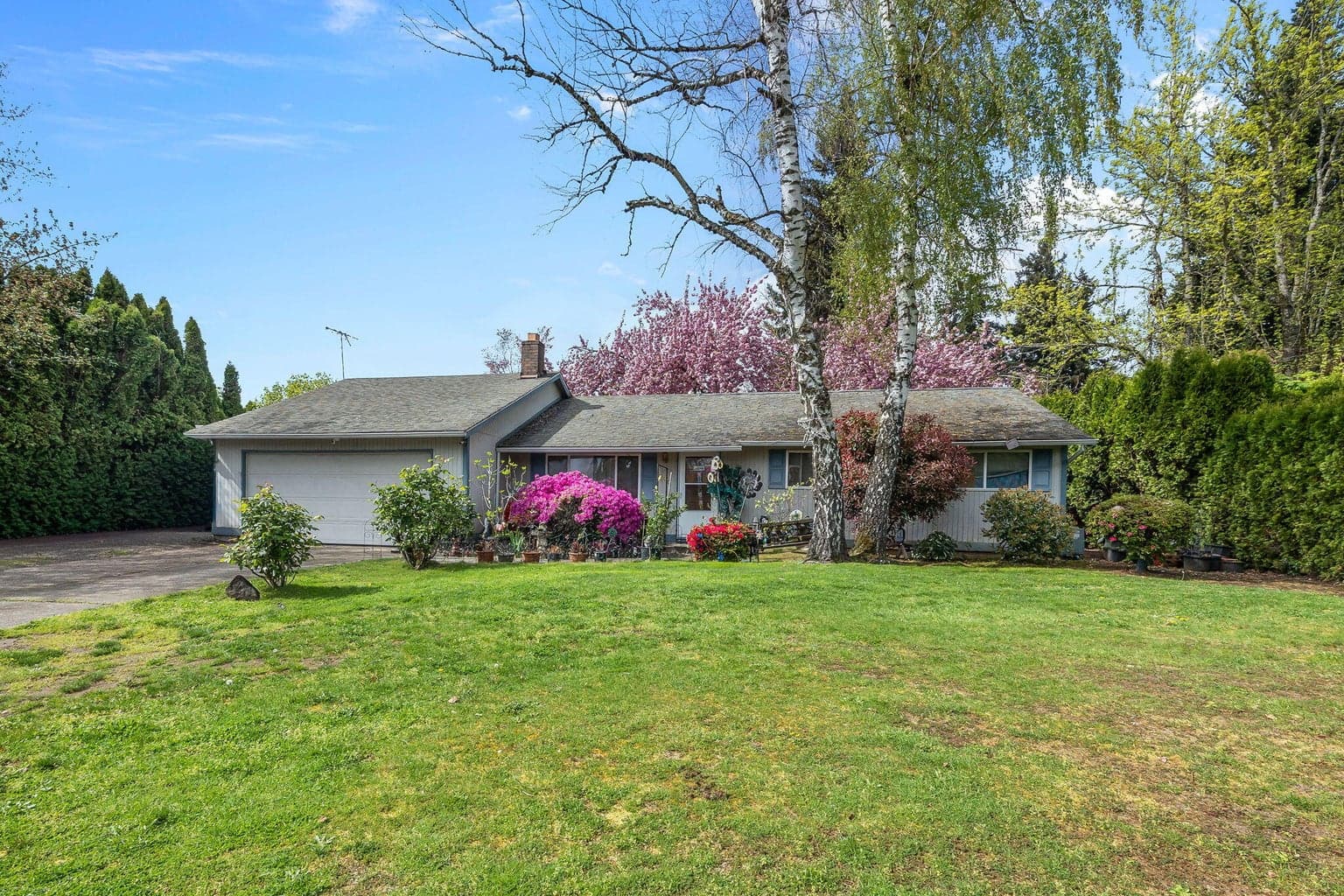 Photo of 230 8th 3 of 38