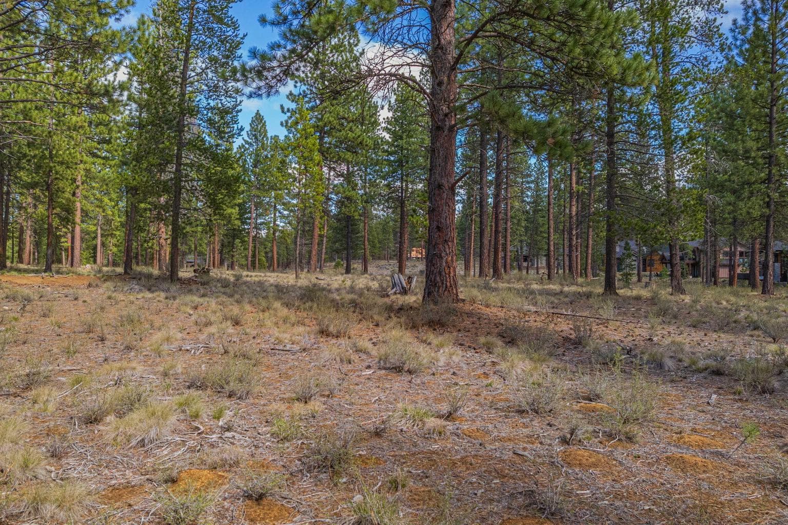 Photo of 56265 Elk Run Drive 5 of 24