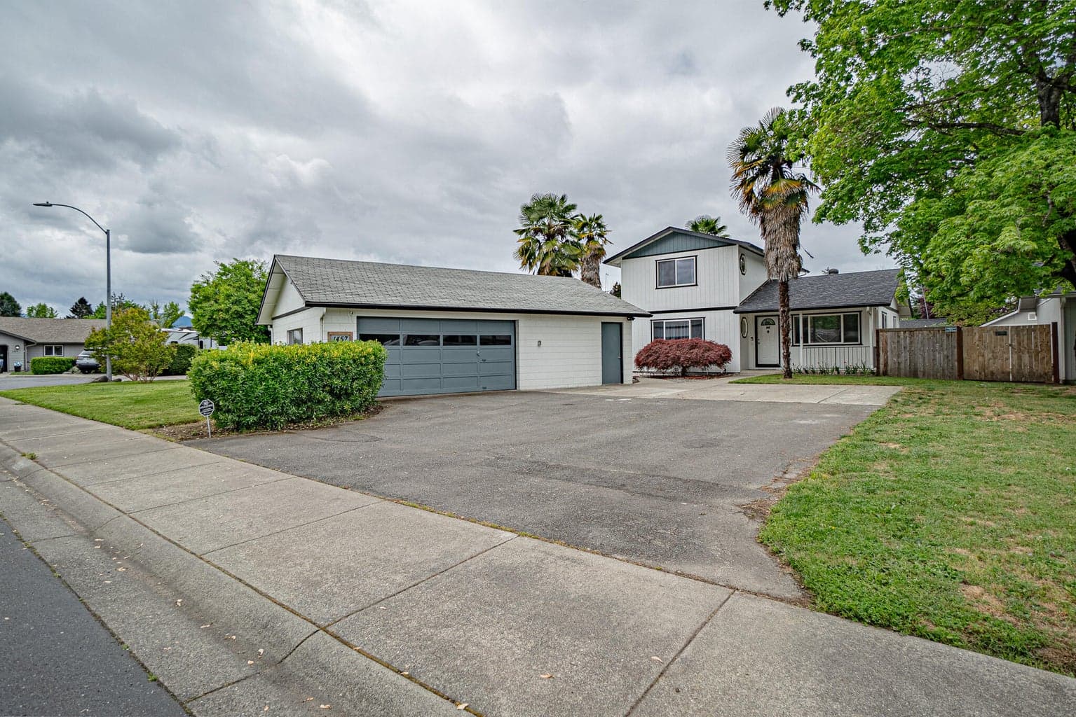 1457 Silver Maple