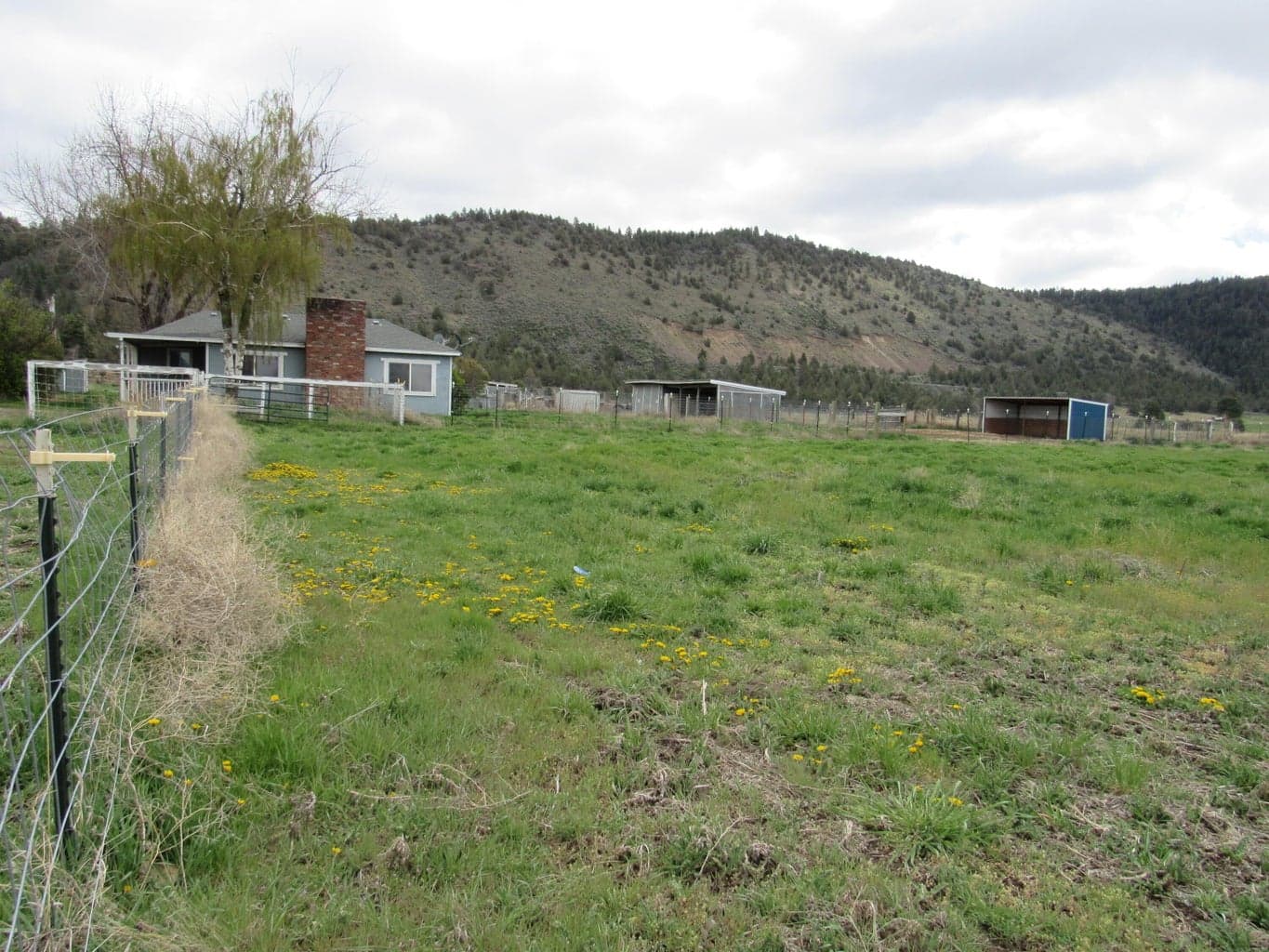 Photo of 29277 Highway 97 2 of 39