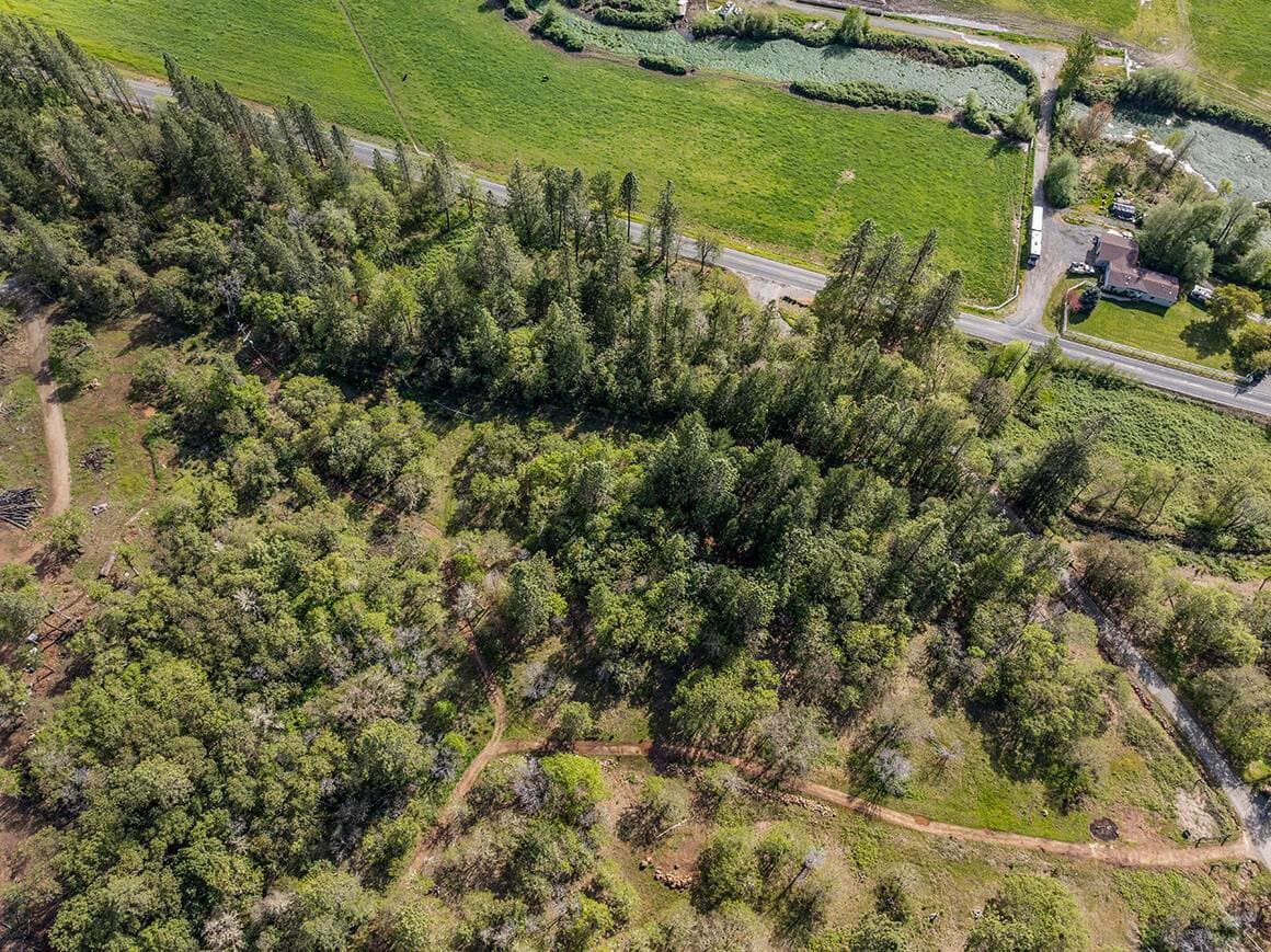 Photo of 10470 Applegate 3 of 13