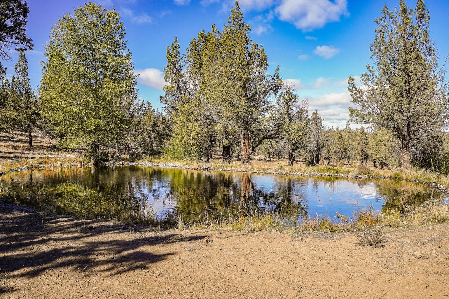 Photo of 66279 Gerking Market Road 70 of 81