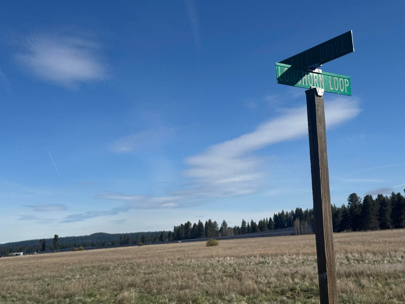 Photo of Cattle dr 2 of 4