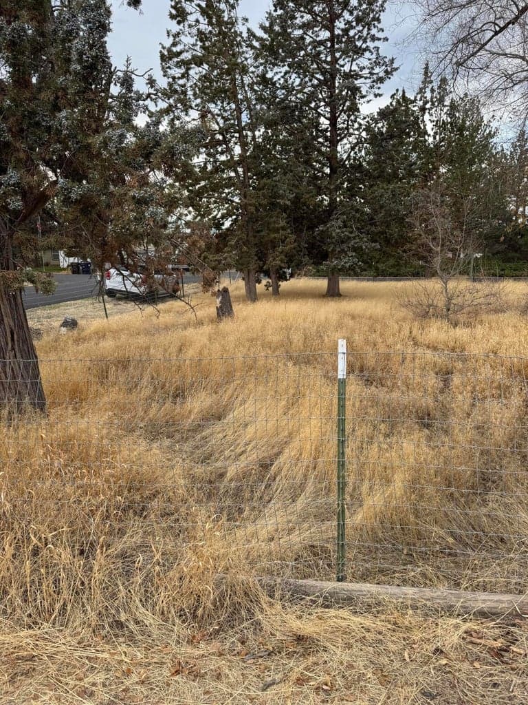 Photo of 3775 Poplar 2 of 4