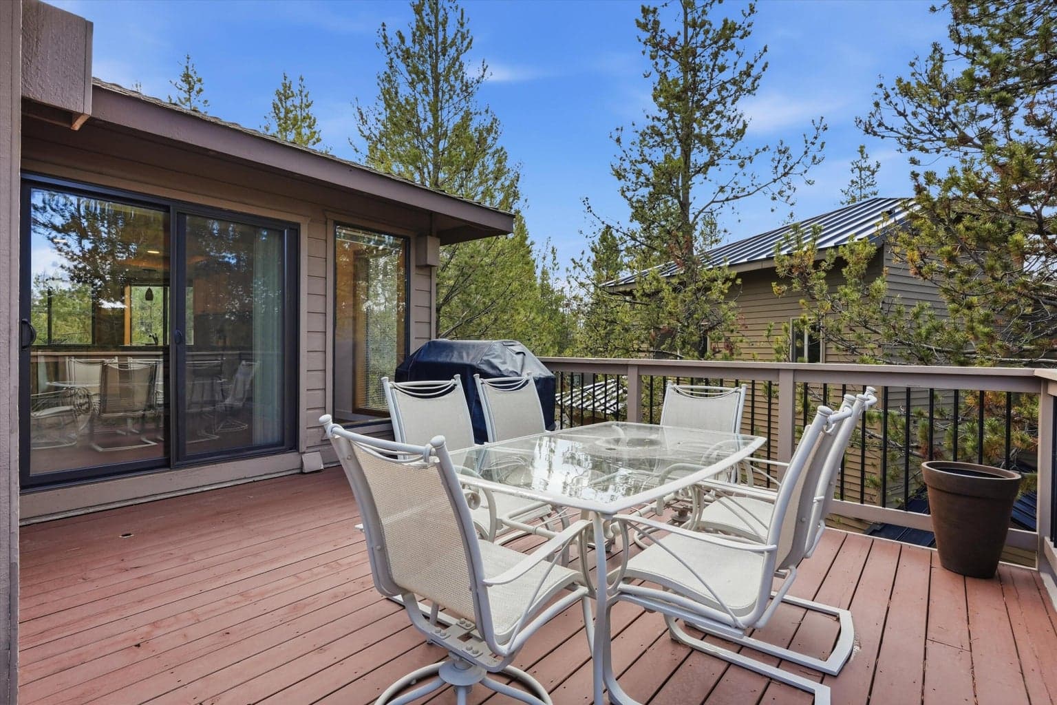 Photo of 57583 White Elm 5 of 34